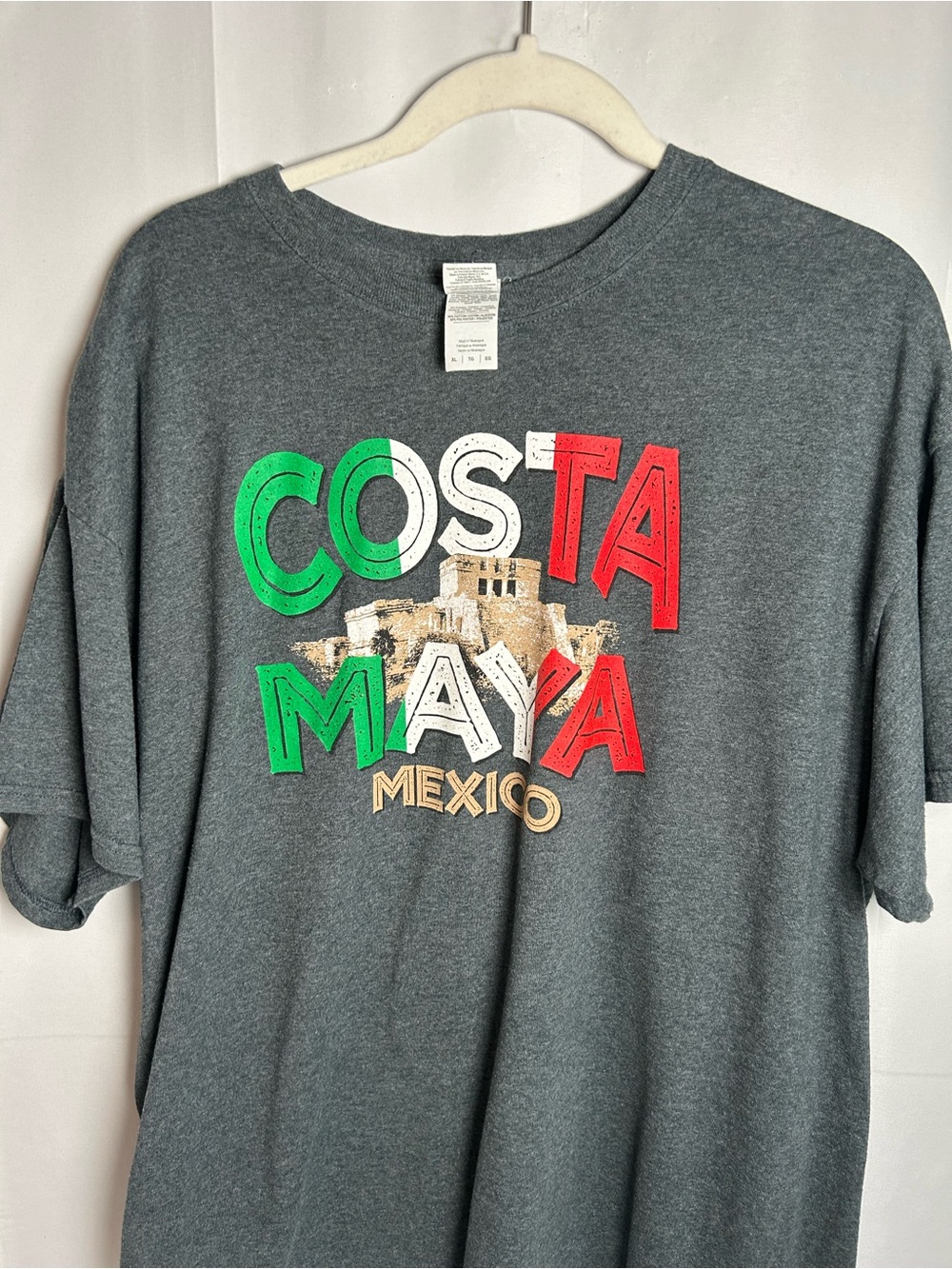 Gildan Costa Maya Mexico Graphic Tee - Gray with Green White Red Print